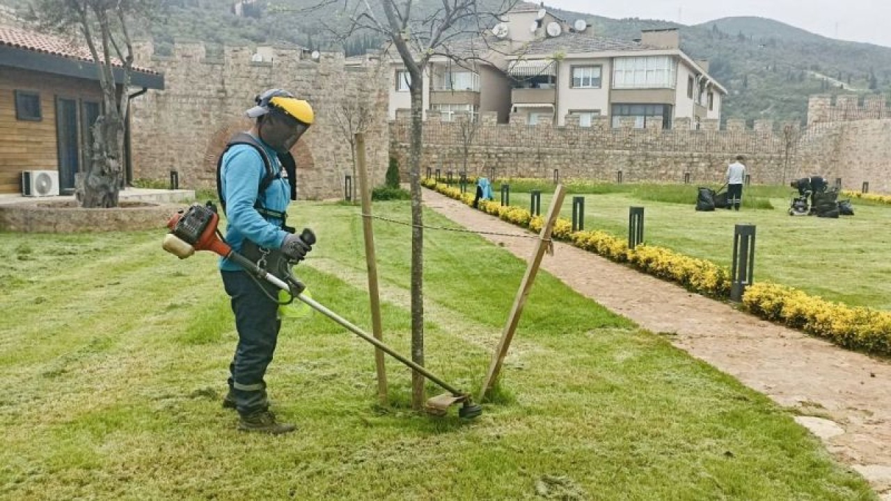 Körfez’de yabani otlar temizleniyor