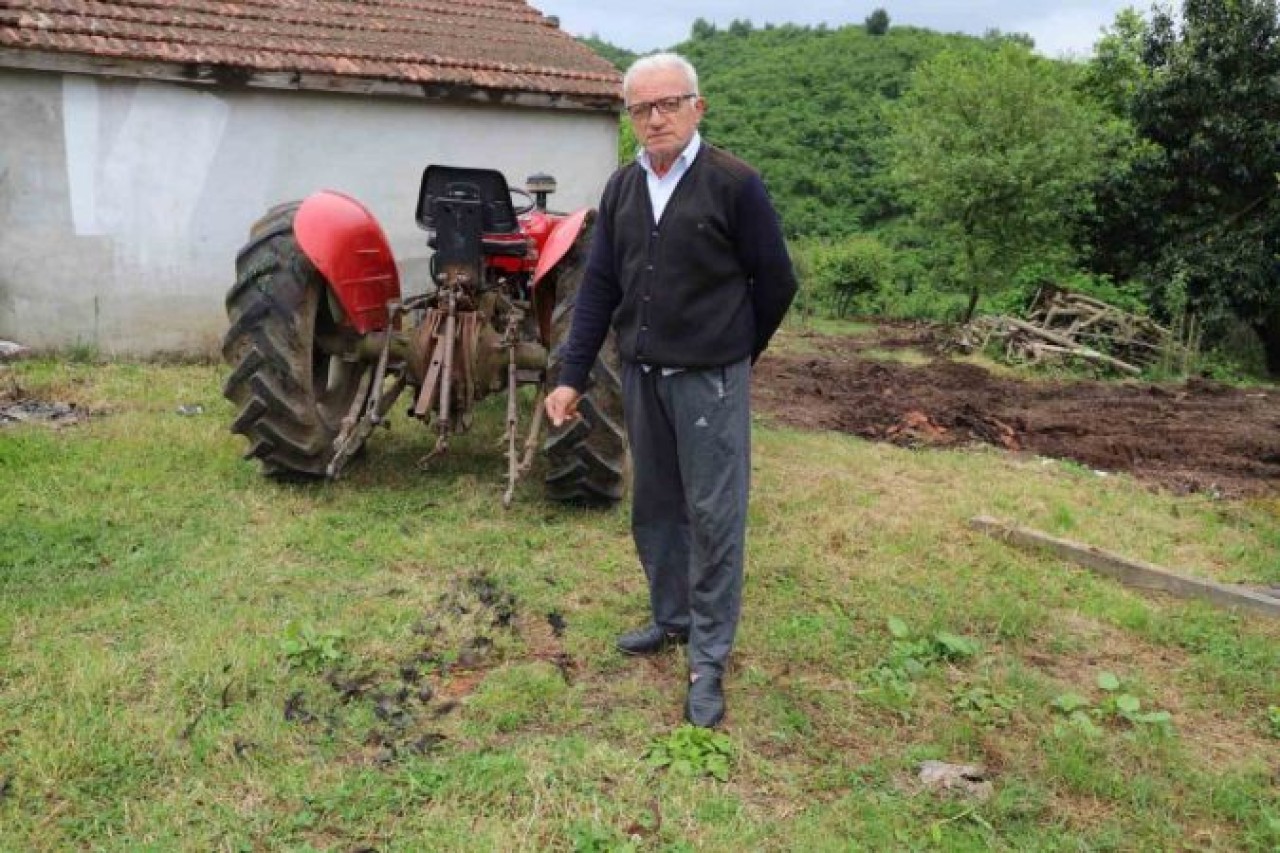 Tavuk ve horozları başıboş köpekler tarafından telef edildi