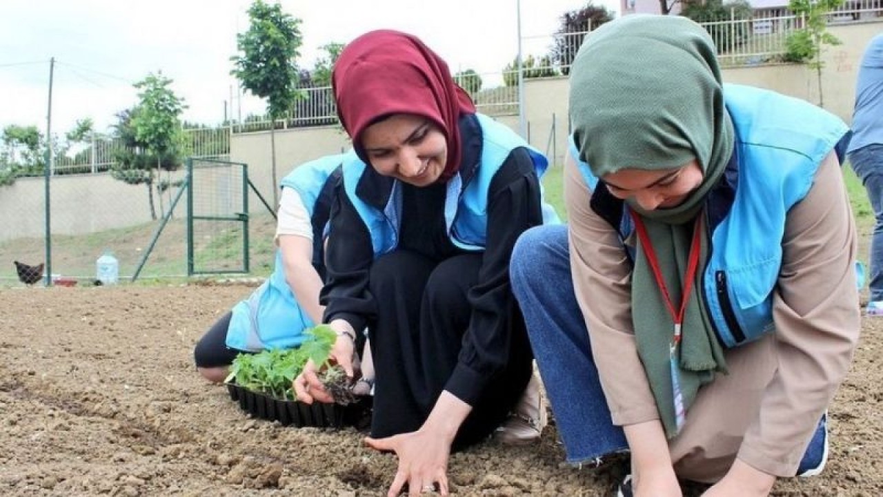 Öğrenciler sebze fidanı dikti