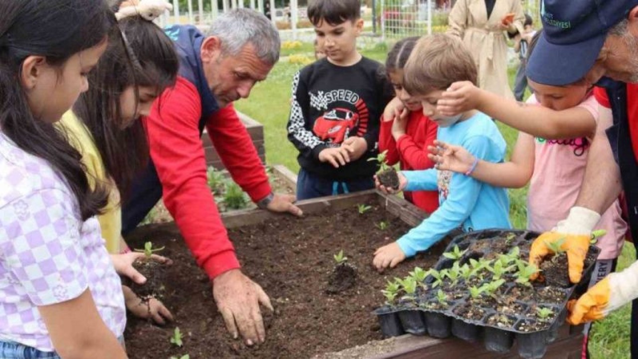 Minikler Ekolojiyi Öğreniyor