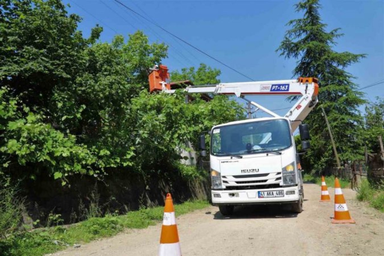 İletkenlere temas eden ağaçlar budanıyor