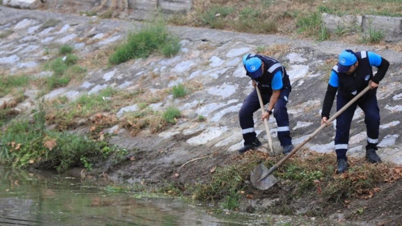 Sakarya Belediyesi Çark Deresini Temizledi