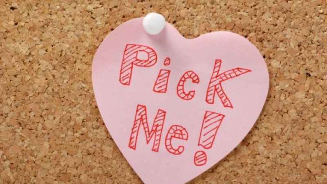 Sosyal Medyanın Dilinde Yeni Bir Trend: "Pick Me" Ne Demek?