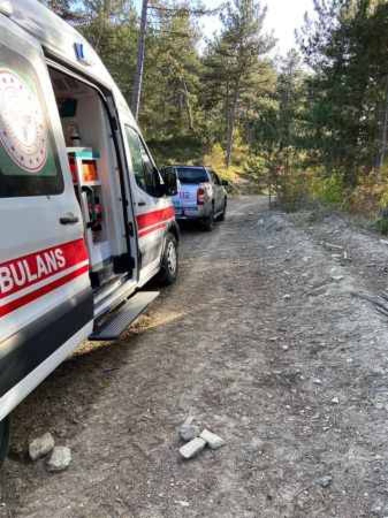 Bolu'da Ormanda Rahatsızlanan Şahıs Kurtarıldı!