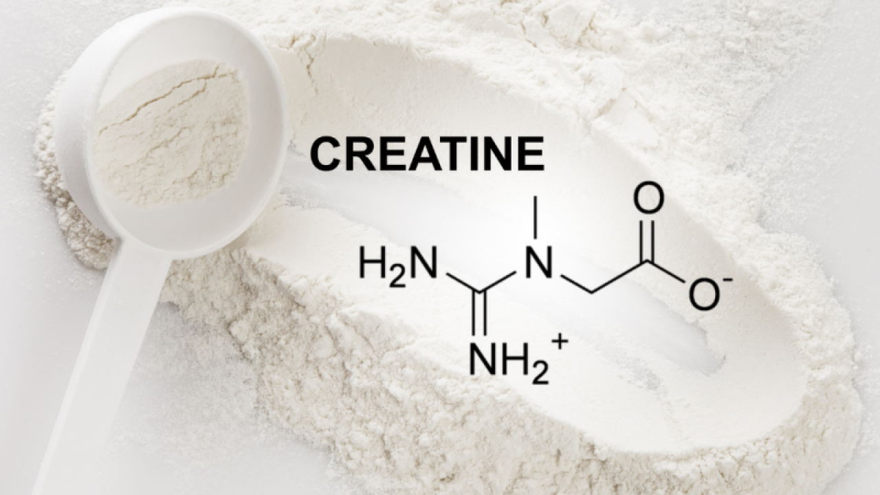  Kreatin Ne İşe Yarar?