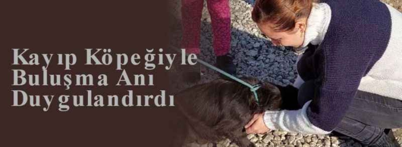 Kayıp Köpeğiyle Buluşma Anı Duygulandırdı 6