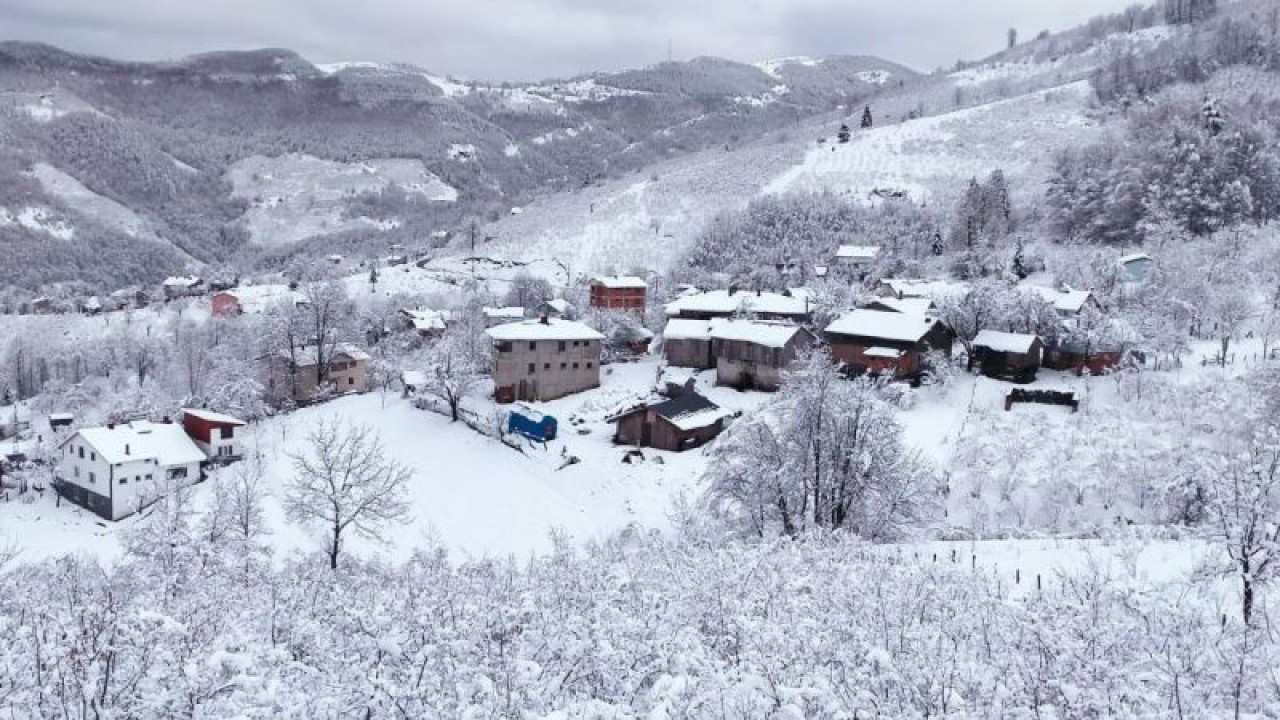 Sakarya’nın Yüksek Kesimlerine Kar İle Gelen Güzellik! 8