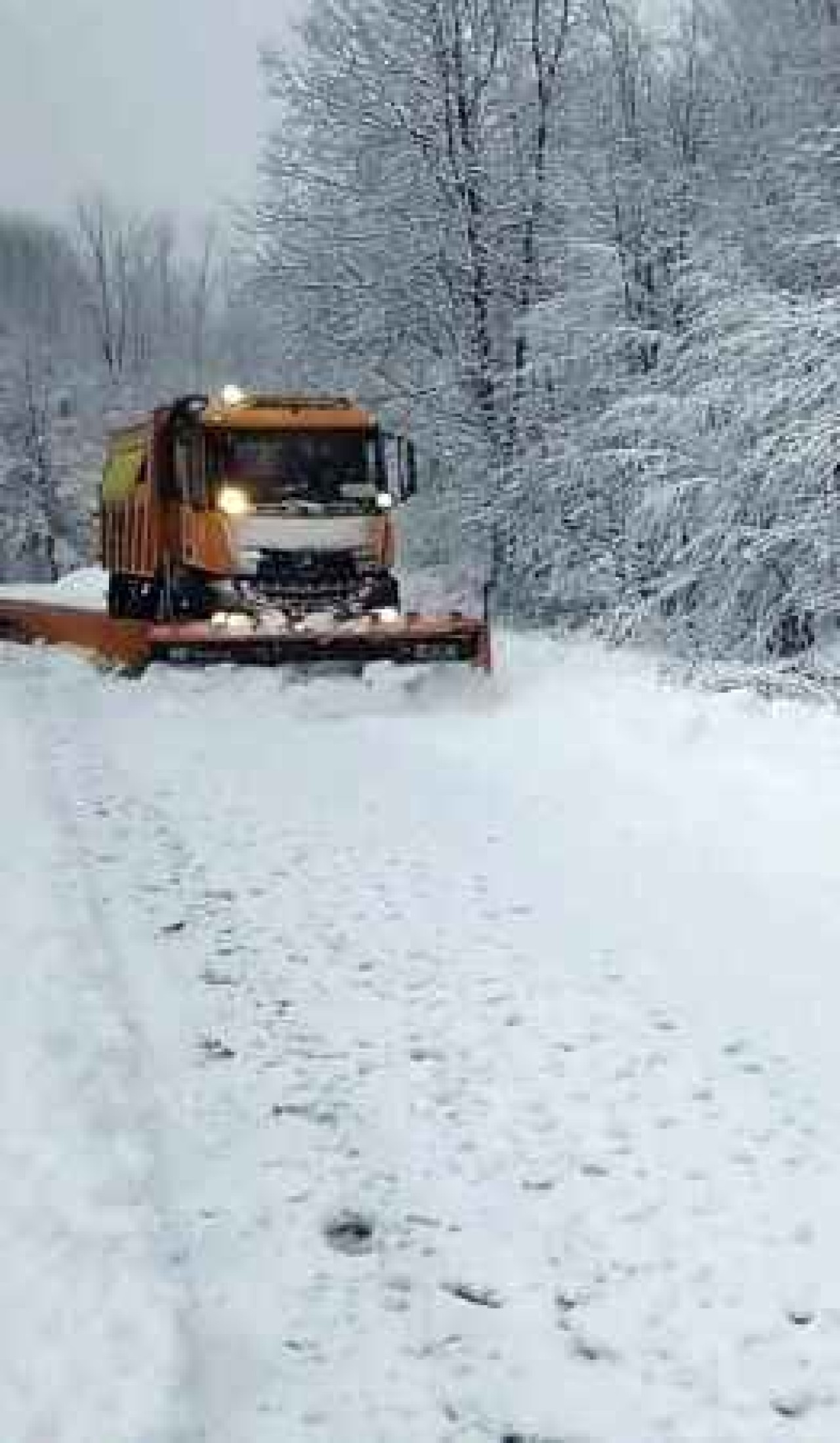 Sakarya’nın Yüksek Kesimlerine Kar İle Gelen Güzellik! 6