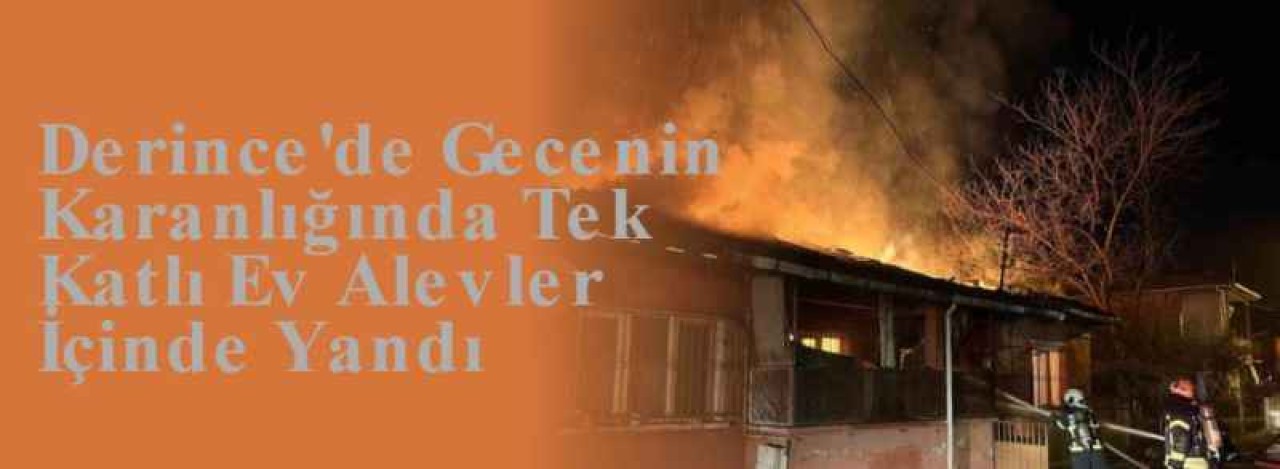 Derince'de Gecenin Karanlığında Tek Katlı Ev Alevler İçinde Yandı 7