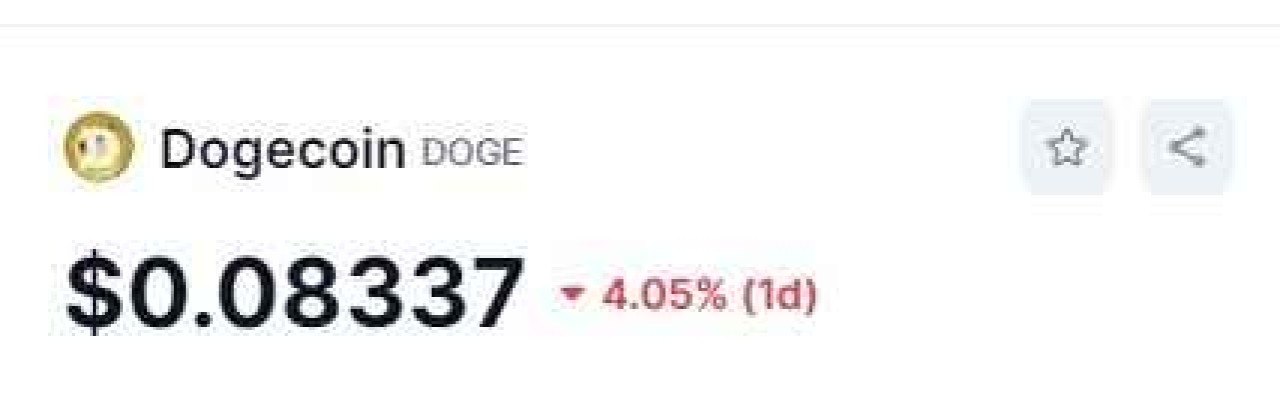 Dogecoin Hakkında Merak Edilenler -Dogecoin Son Dakika Durum Ne?