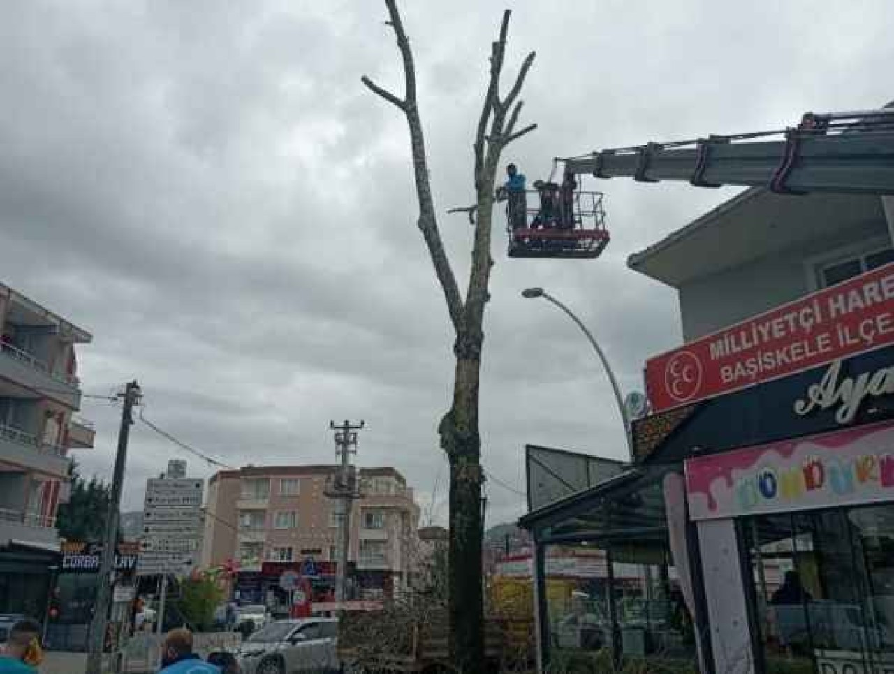 Olumsuz Hava Şartlarına Karşı Ağaçlar Budanıyor!