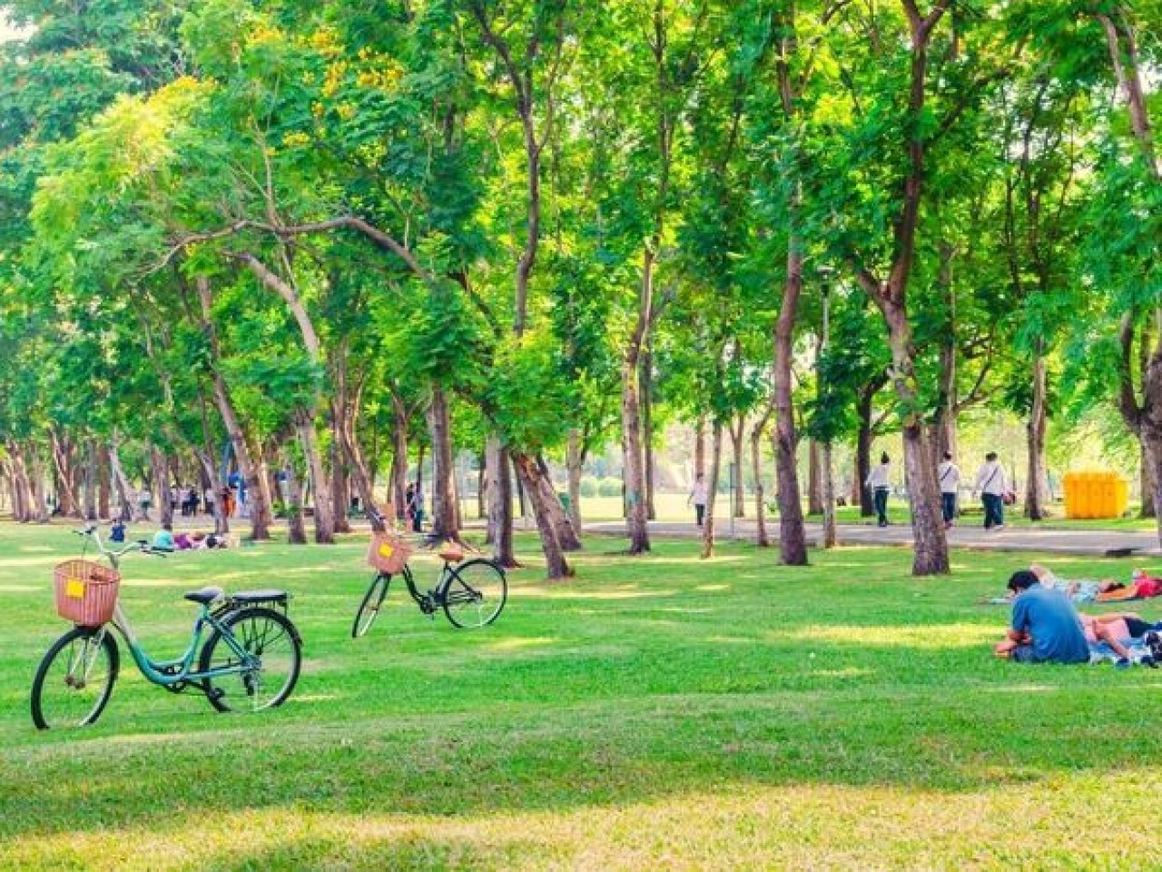 Kocaeli'nin En Güzel Parkları