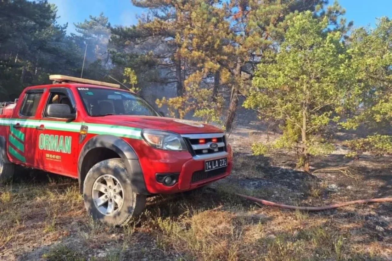 Son Dakika Bolu'da Orman Yangını