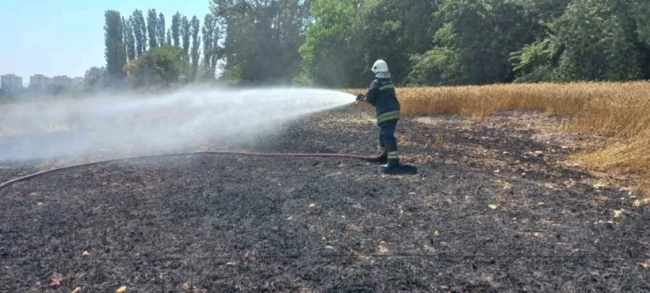 Kopan Elektrik Kablosu 1 Buçuk Dönüm Buğday Tarlasını Küle Çevirdi