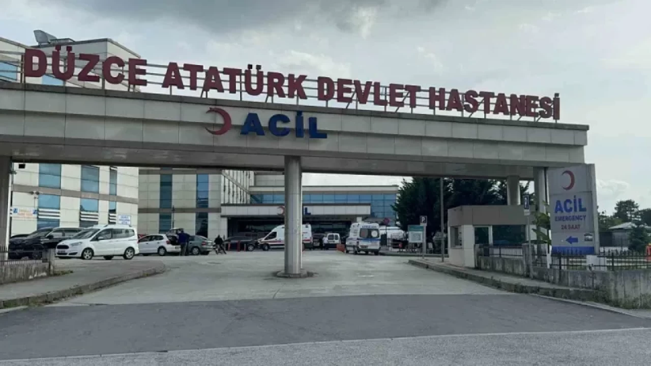 Düzce'de Rekor Seviyede Hastaya Bakıldı