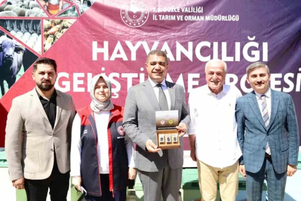 Düzce'de Arı Üreticilerine Ana Arı Dağıtıldı