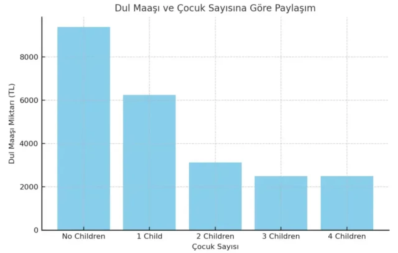 Sosyal Güvenlik Kurumu Dul Maaşı Düzenlemesi 