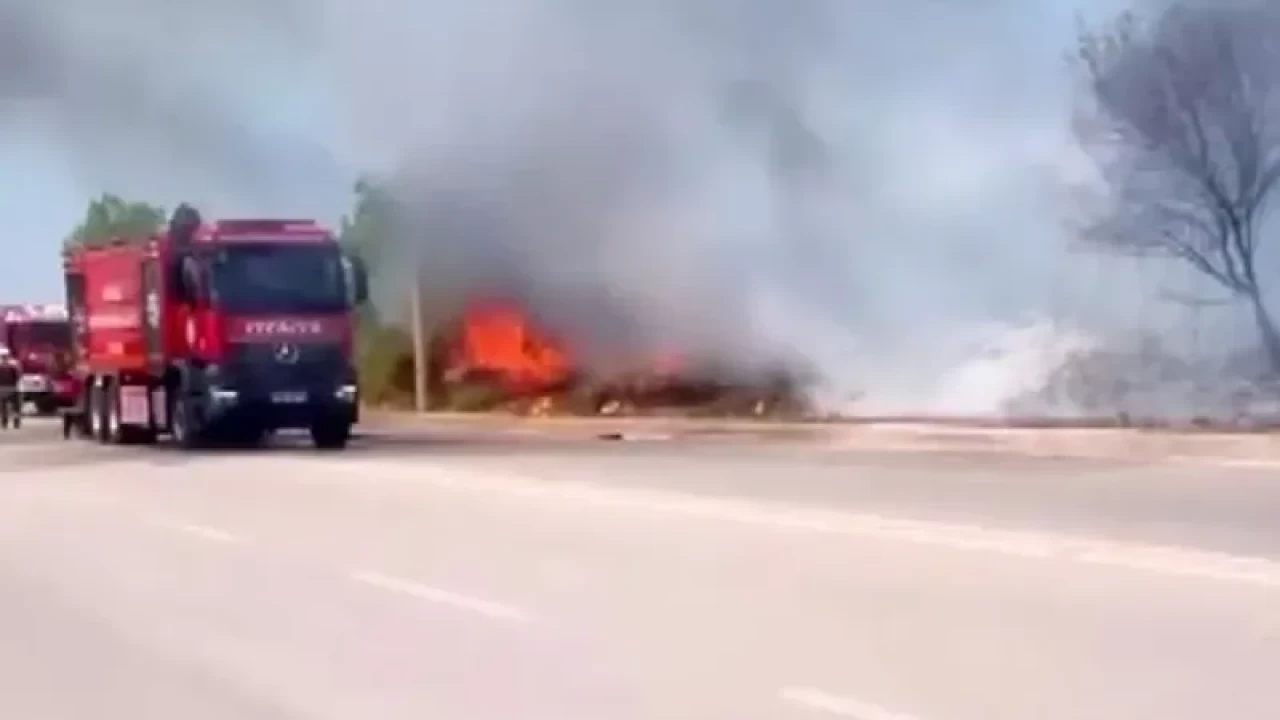 Ağaçlık Alanda Çıkan Yangın İtfaiye Tarafından Söndürüldü