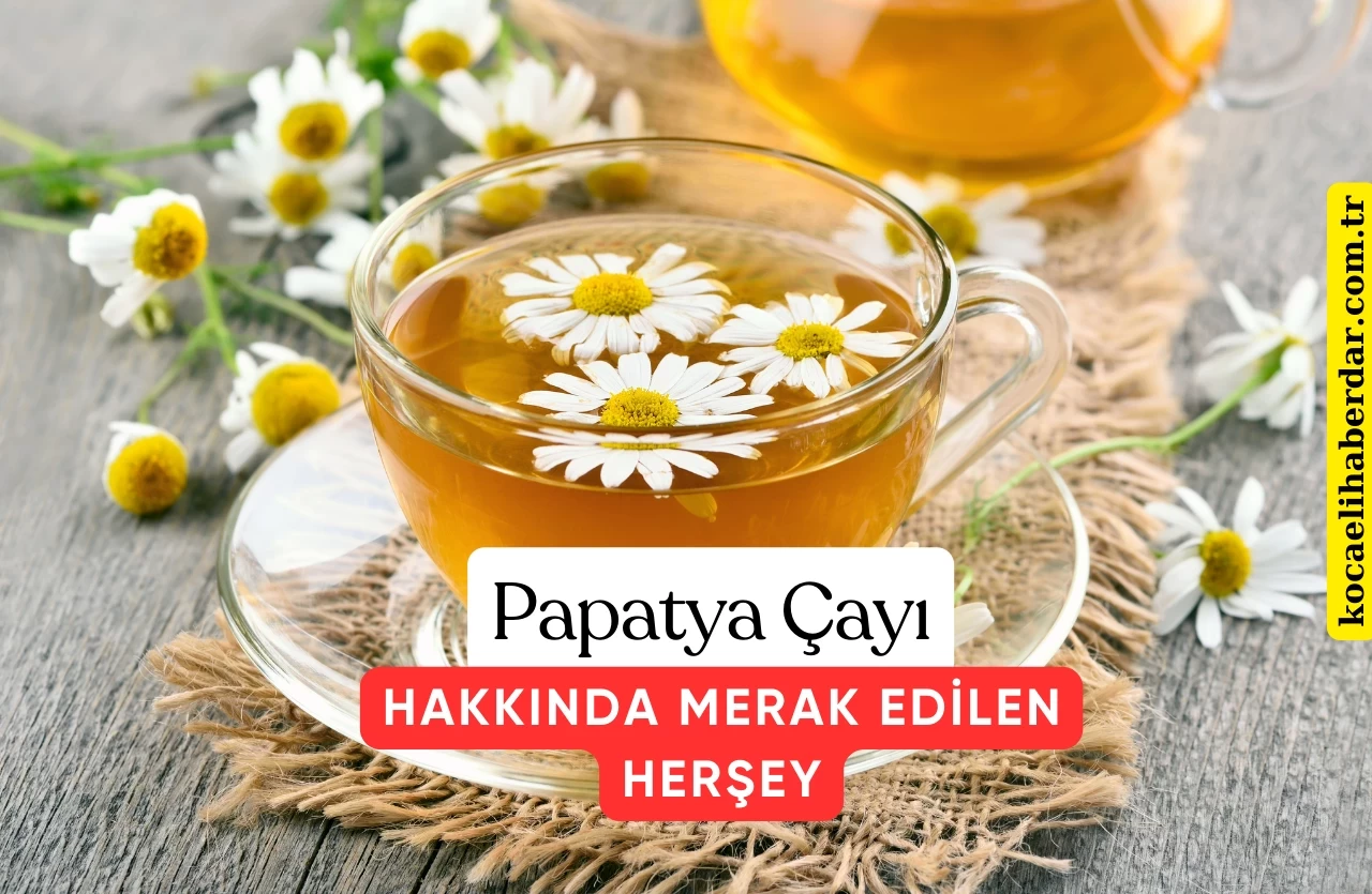 Papatya Çayı Uykusuzluk Yapar mı?