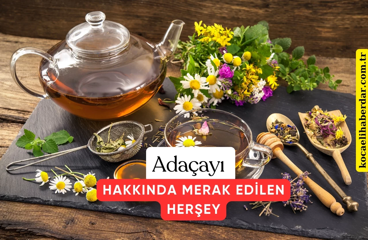 Adaçayı Stresi Azaltır mı? Adaçayı Hakkında Tüm Merak Edilenler