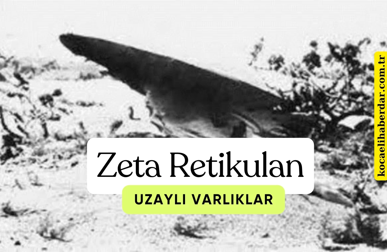 Zeta Retikulan Uzaylı Varlıkları mı? Dünyadan Ne istiyorlar?