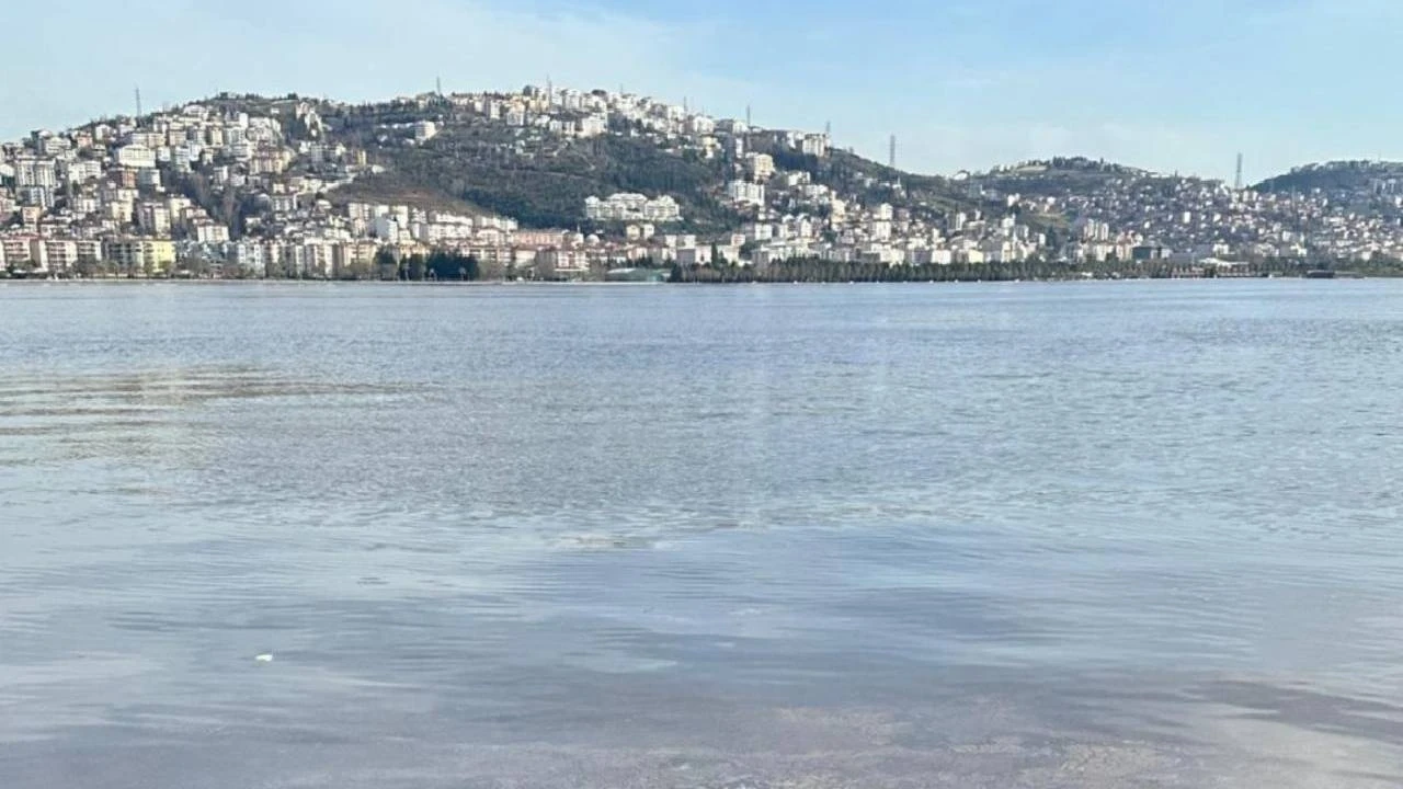 Uzmanlardan Önemli Uyarı! Müsilaj İzmit Körfezi’ne Yaklaşıyor