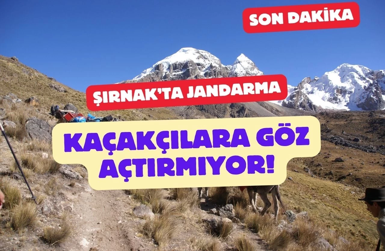 Şırnak’ta Kaçakçılara Büyük Darbe: 16 Kişi Gözaltına Alındı