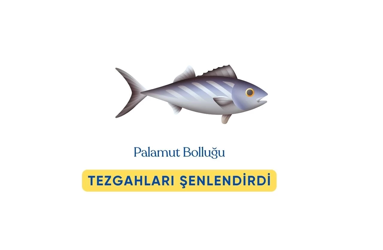 Palamut ve Kılıç Balığı Bolluğu: Denizlerden Tezgâhlara Şenlik  Yansıdı