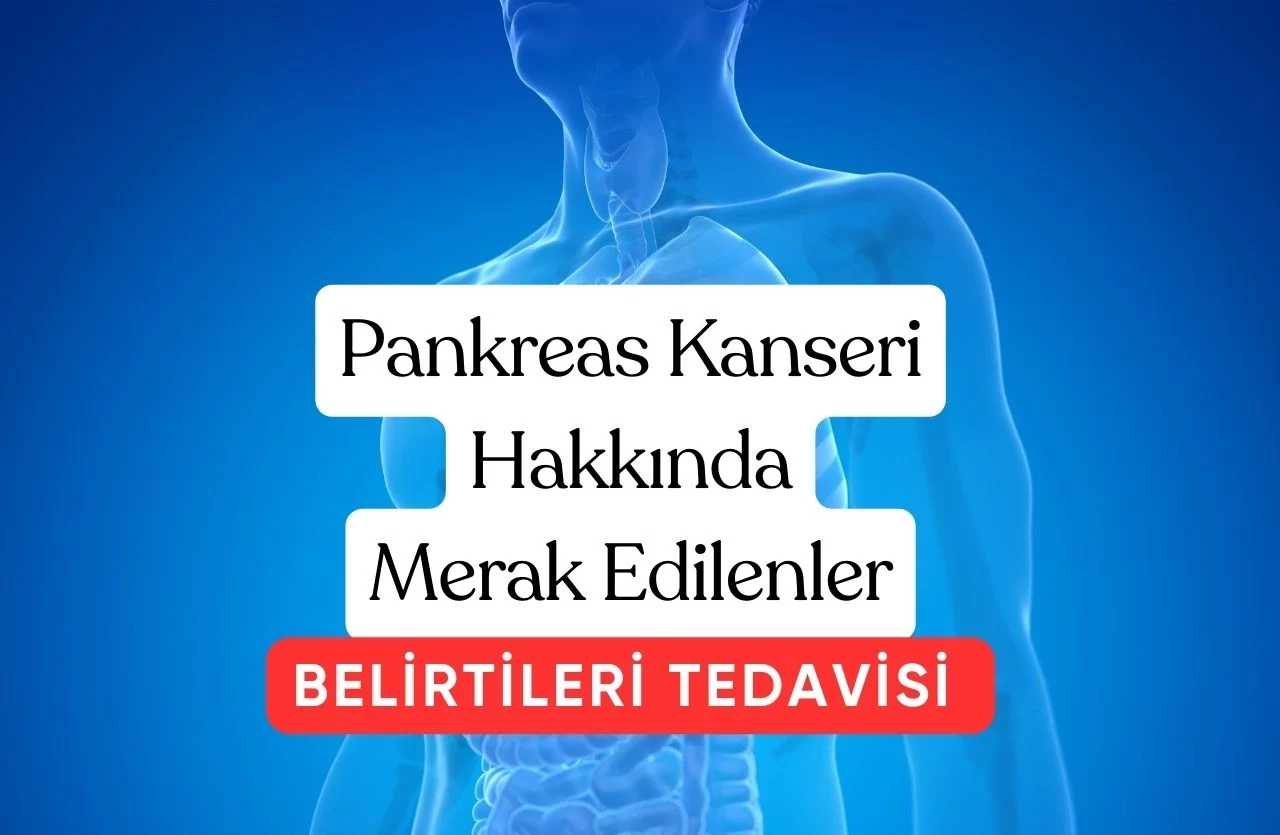 Pankreas Kanseri Hakkında Merak Ettiğiniz Herşey!