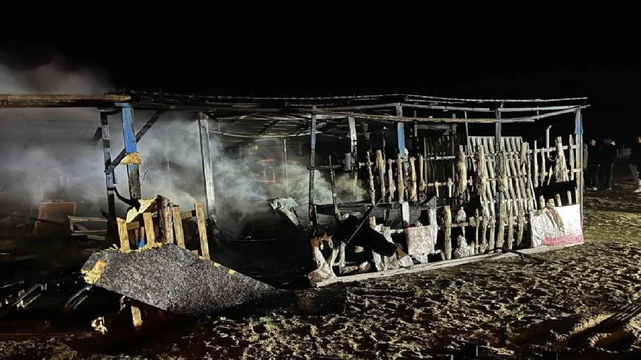 Sakarya Karasu sahilinde gece saatlerinde yangın paniği