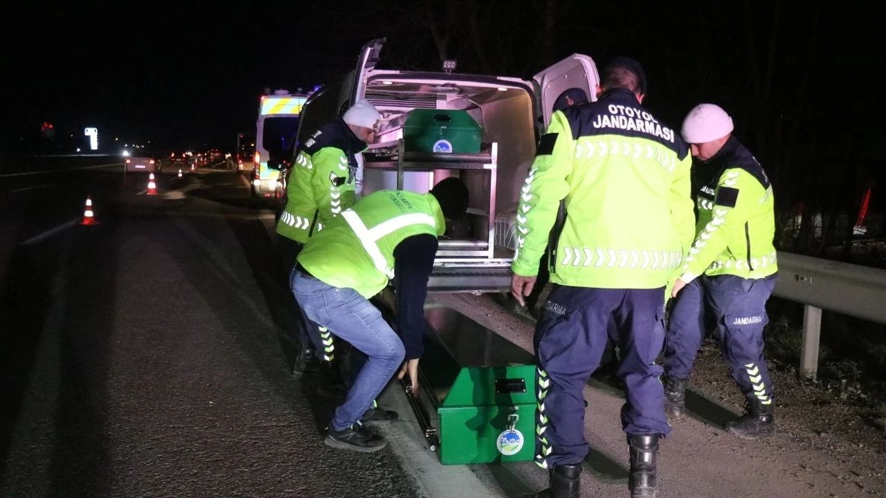 Otoyolda bir kişinin parçalanmış cesedi bulundu: Yeni detaylar ortaya çıktı