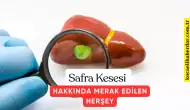 Safra Kesesi Nedir Safra Kesesi Hakkında Merak Edilenler