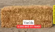 Van’da Korkutan Yangın: 5 Bin Bağ Ot Küle Döndü!