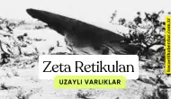 Zeta Retikulan Uzaylı Varlıkları mı? Dünyadan Ne istiyorlar?