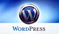 WordPress Nedir? Web Siteleri ve Bloglar İçin Popüler CMS