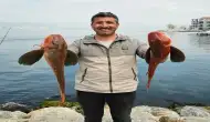 Kocaeli Kıyılarında Hobi Balıkçısının Şansı Yaver Gitti! 6.5 Kilogram Ağırlığında 2 Kırlangıç Balığı Yakaladı