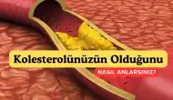 Kolesterolü Kontrol Altına Almak İçin Bilinmesi Gereken Her Şey