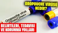 Oropouche Virüsü Nedir? Belirtileri, Tedavisi ve Korunma Yolları