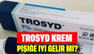 Trosyd Krem Pişiğe İyi Gelir mi?