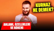 Kurnaz Ne Demek? Anlamı, Özellikleri ve Kökeni