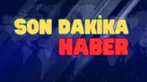 Nesli Tükenmekte Olan Çizgili Sırtlan Gaziantep’te Görüldü! Bekçinin Kamerasına Yansıyan Unutulmaz Anlar