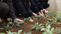 Düzce Orman Fakültesi'nden yeşil geleceğe katkı