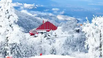 Kartepe Yeniden Beyaza Büründü! Kar Yağışı Başladı