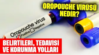 Oropouche Virüsü Nedir? Belirtileri, Tedavisi ve Korunma Yolları