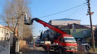 Okullarda ağaç budama çalışmaları hız kesmiyor