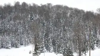 Buz tutan Sakarya Yaylaları görsel şölen sunuyor