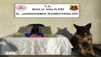 Bolu'da yolcu otobüsünde uyuşturucu operasyonu