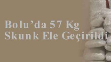 Bolu’da 57 Kg Skunk Ele Geçirildi