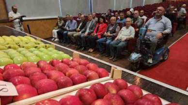 Kocaeli Haber: Gölcük Armutları Görücüye Çıktı!