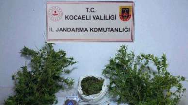 Uyuşturucu Şebekesine Kocaeli Darbesi: 3 İkamet Gözaltında.